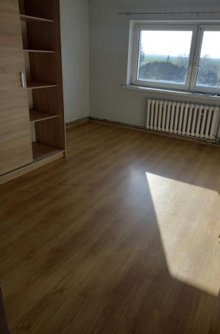 Mieszkanie 2-pokojowe Żalęcino. Zdjęcie 1