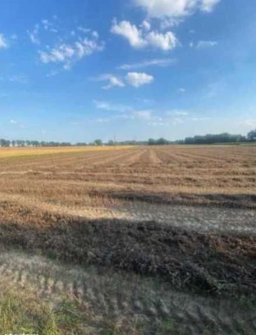 Działka inwestycyjna Ostrowite. Zdjęcie 1