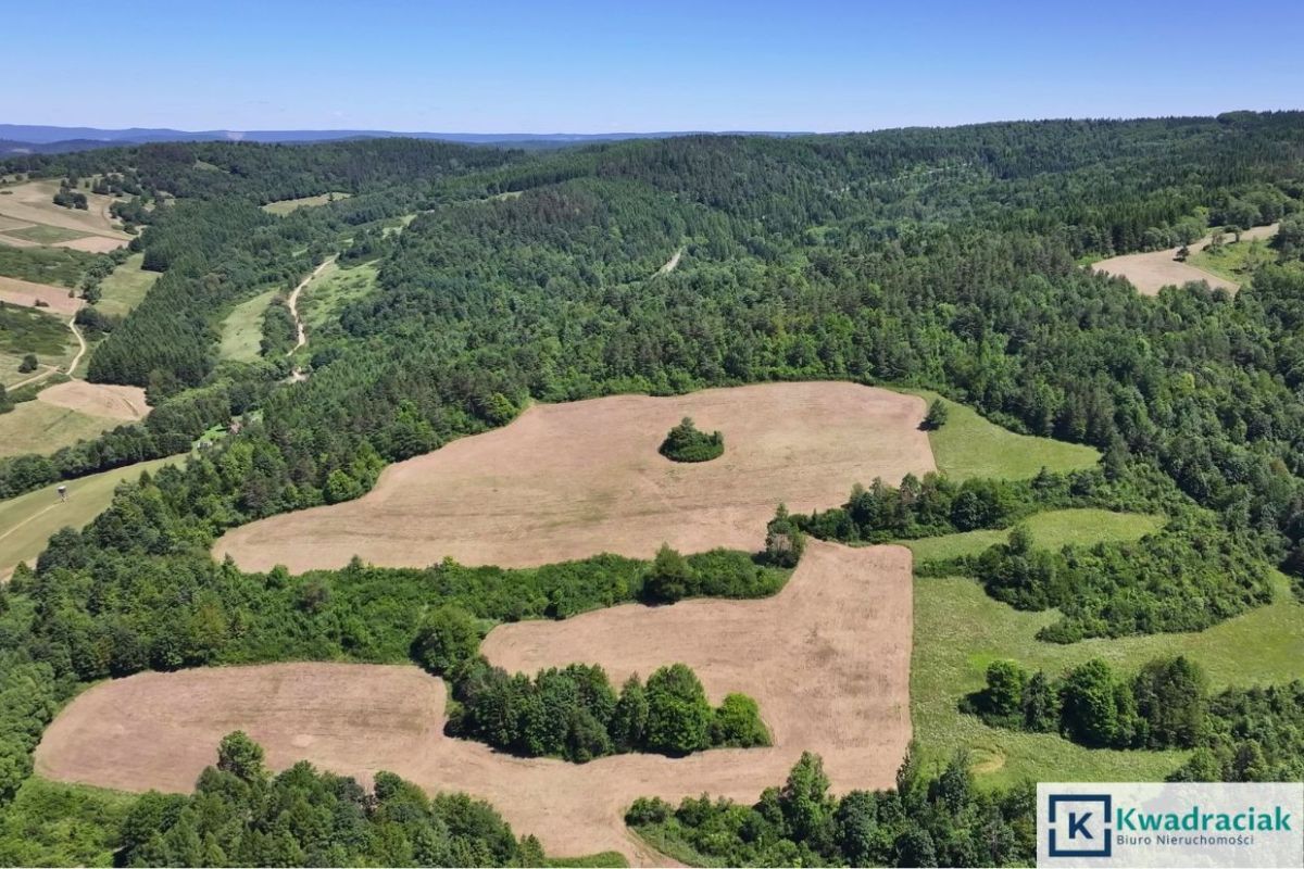 Działka rolna Stężnica. Zdjęcie 3