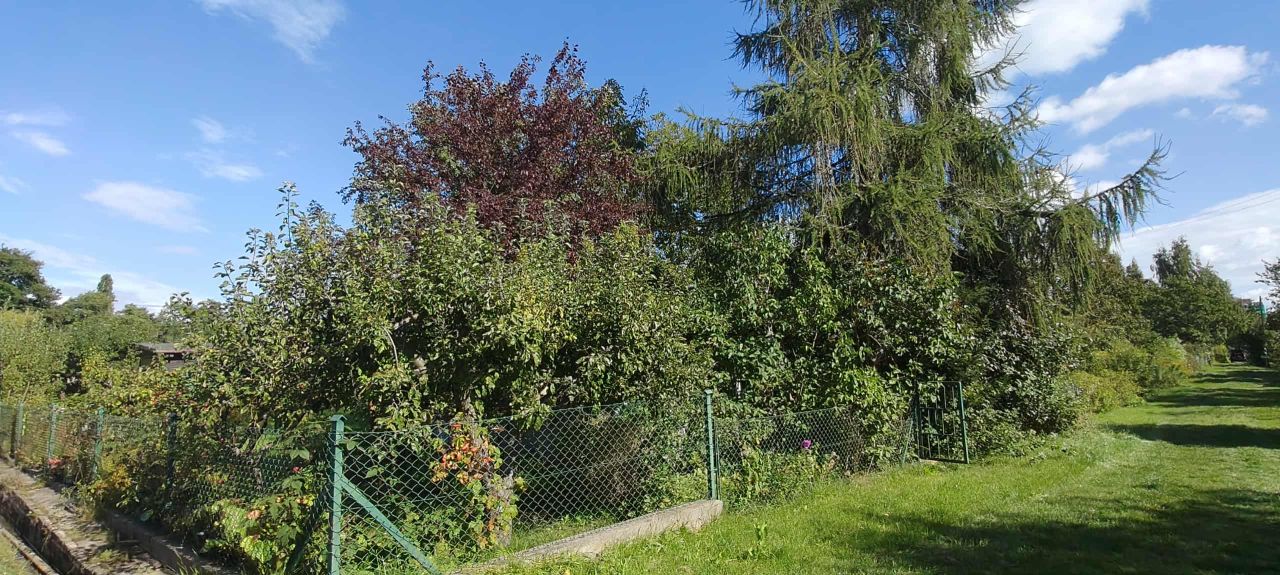 Działka rod Sopot Świemirowo, ul. Mikołaja Reja. Zdjęcie 9