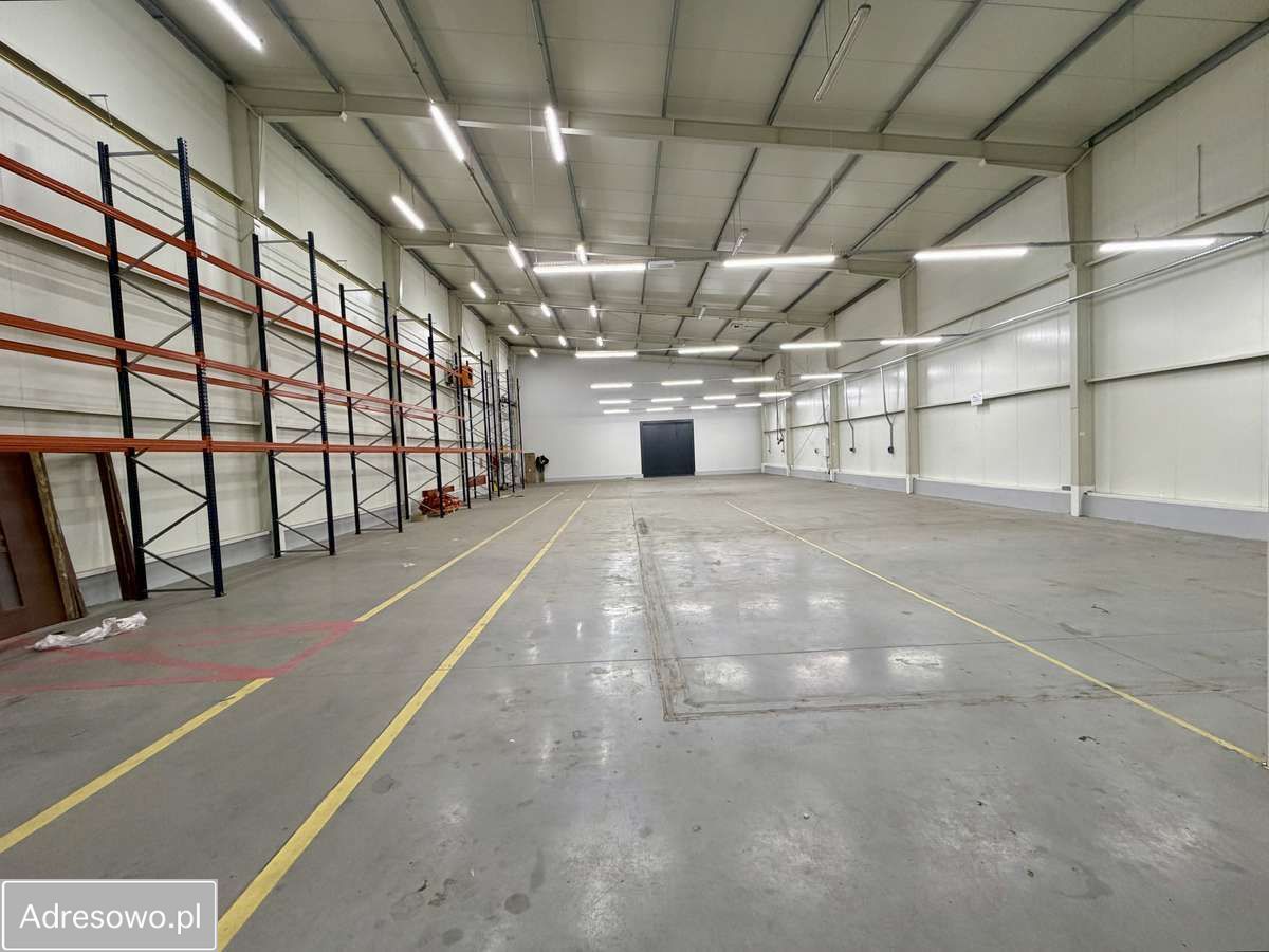 Hala/magazyn Szczecin Dąbie, ul. Goleniowska. Zdjęcie 5