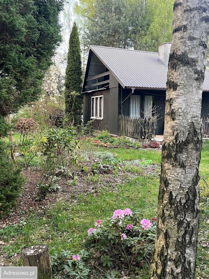 Działka rekreacyjna Rosanów, ul. Młynarska. Zdjęcie 16