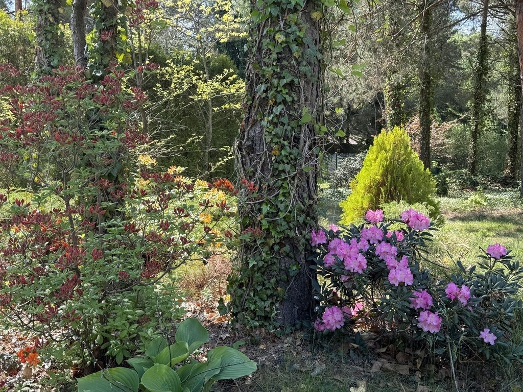 dom wolnostojący, 3 pokoje Jerzyska, ul. Niedźwiedzicy. Zdjęcie 8