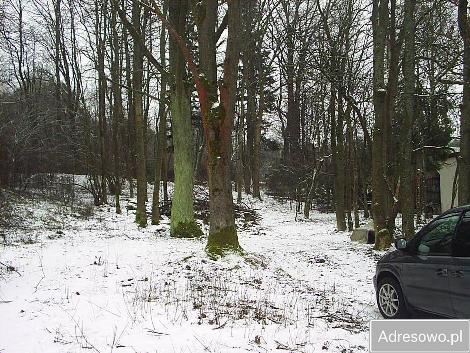 Działka Kuźnica. Zdjęcie 2