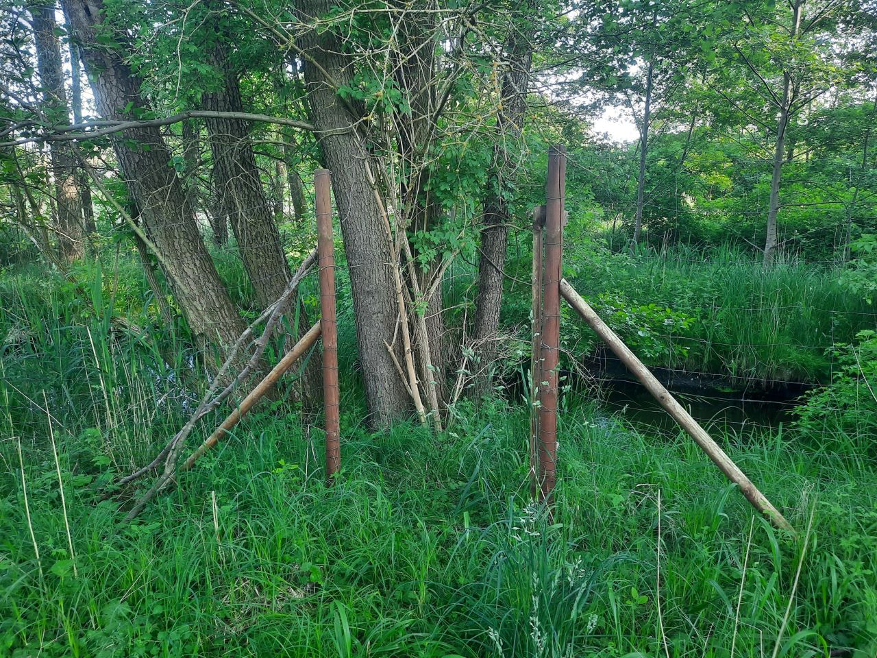 Działka rekreacyjna Minikowo. Zdjęcie 15