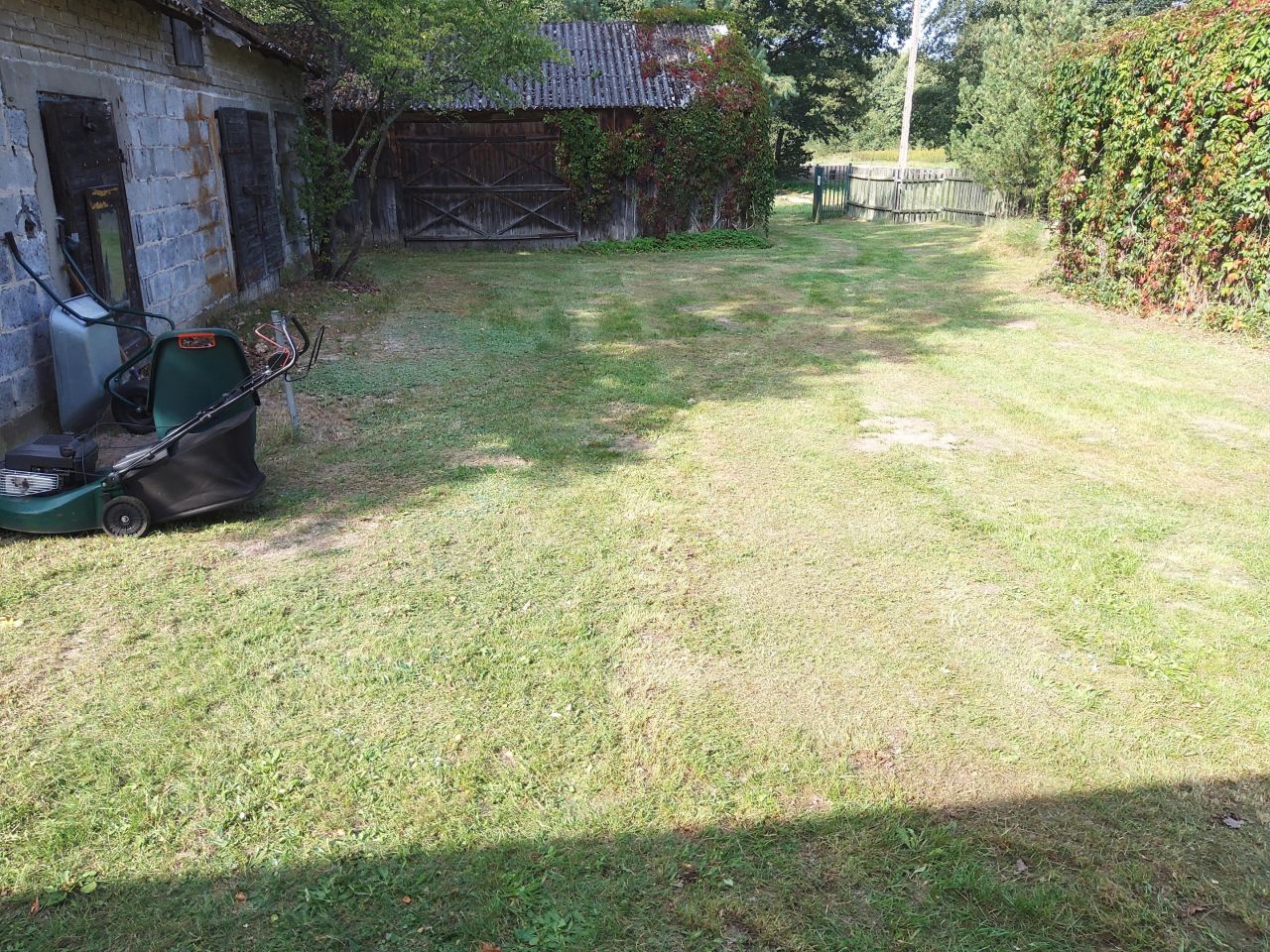 Działka siedliskowa Górki. Zdjęcie 2