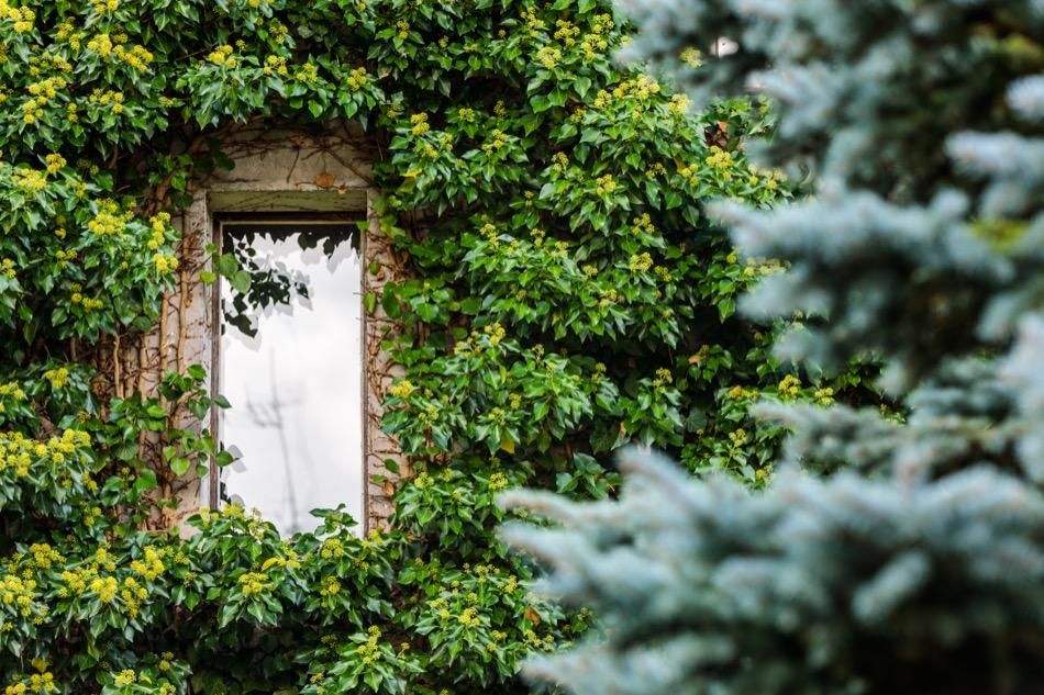 bliźniak, 7 pokoi Szczecin Pogodno, ul. Józefa Dwernickiego. Zdjęcie 4