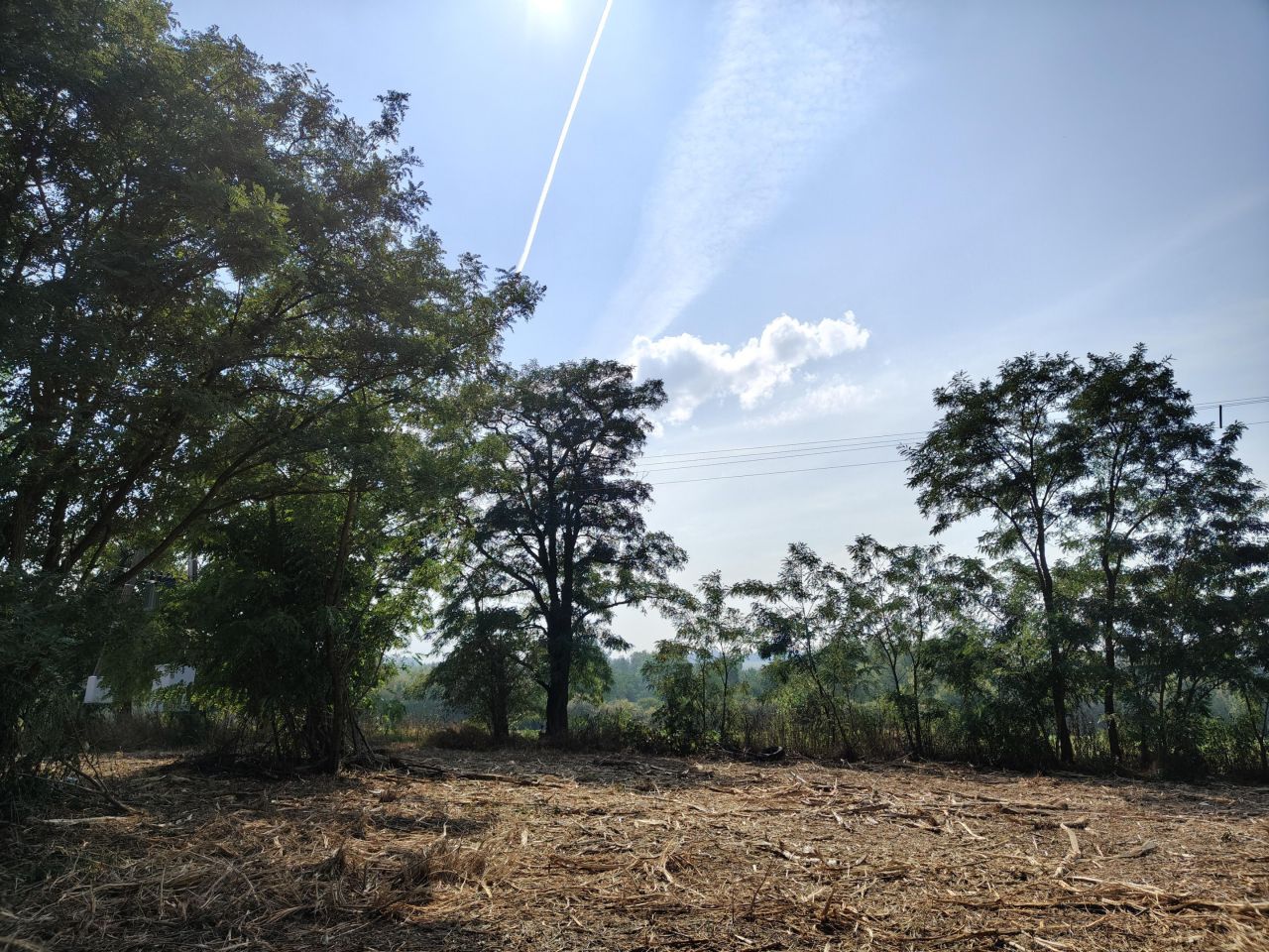 Działka budowlana Jabłonna Pierwsza. Zdjęcie 7
