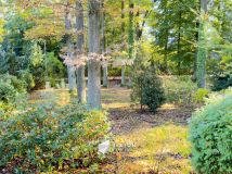 Działka leśna Warszawa Stara Miłosna, ul. Torfowa. Zdjęcie 4