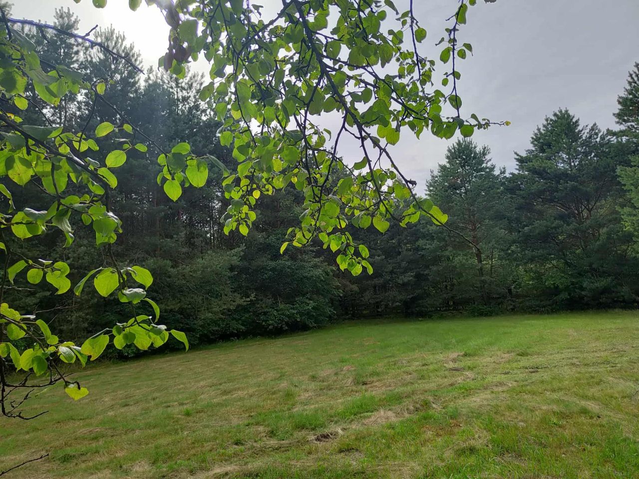 Działka rolna Lutkówka Druga, ul. Środkowa. Zdjęcie 5