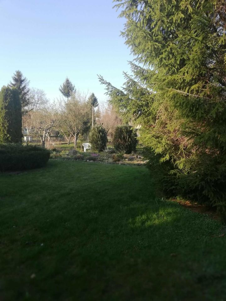 Działka rod Zielona Góra Jędrzychów. Zdjęcie 3