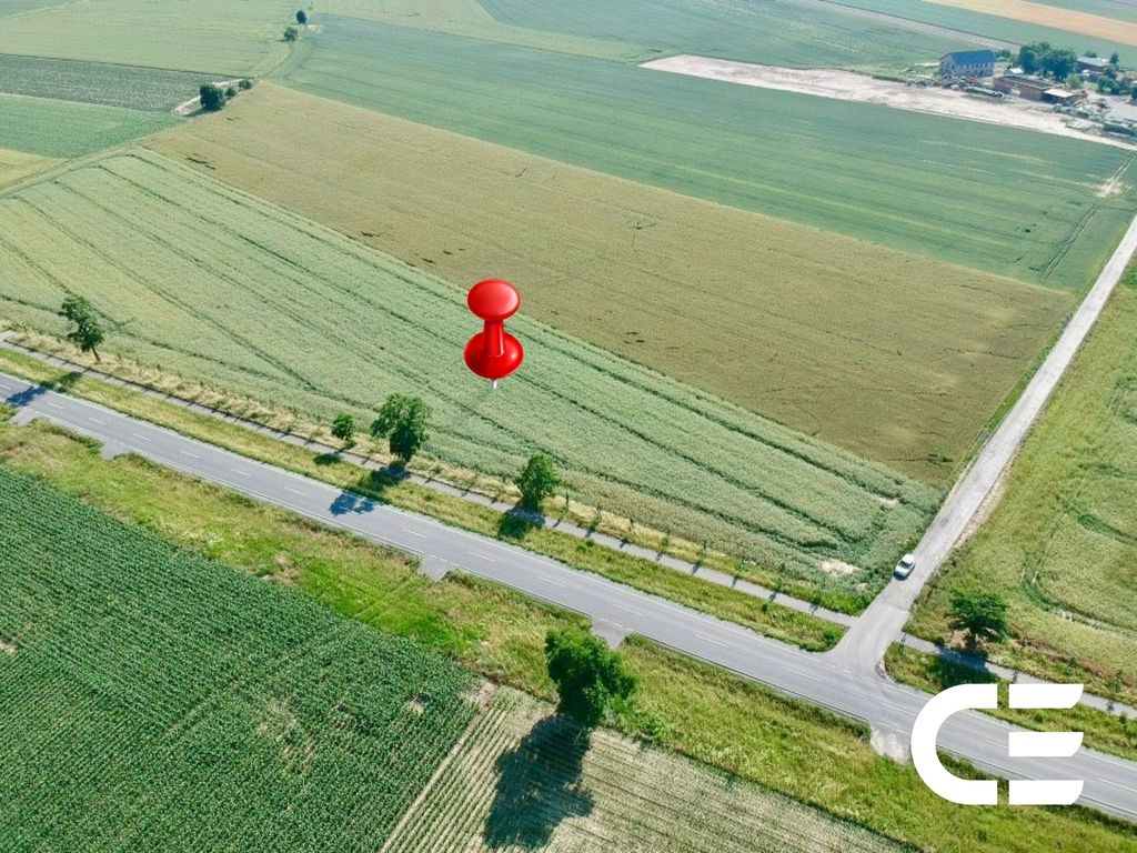 Działka inwestycyjna Nowosiedlice. Zdjęcie 10