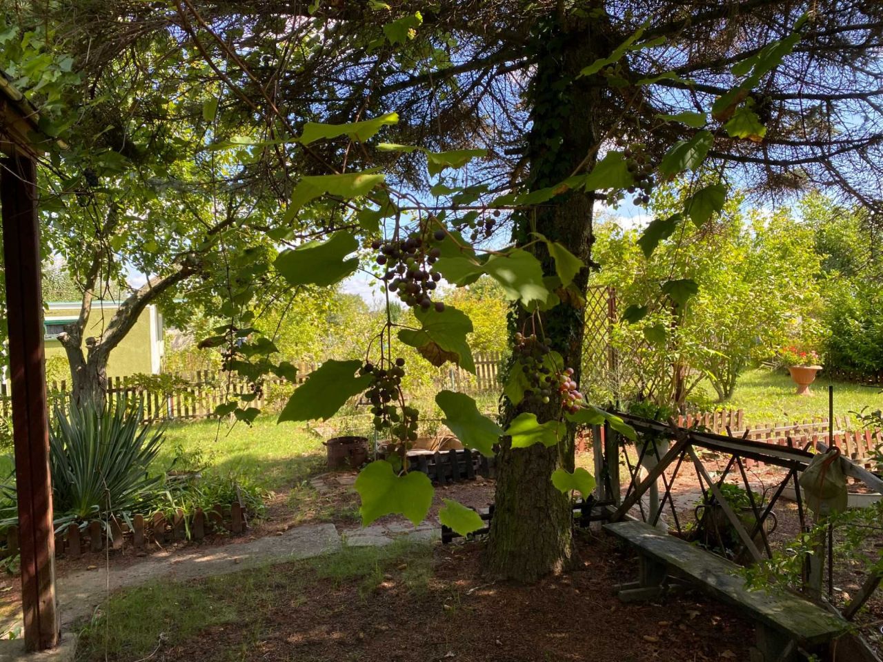 Działka rod Lubin. Zdjęcie 3