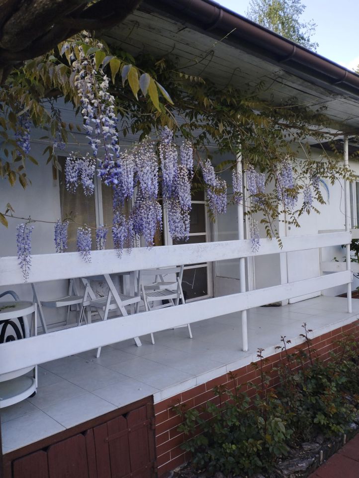 Działka rod Pawlikowice. Zdjęcie 18