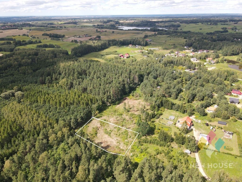 Działka Dąbrówka Wielka. Zdjęcie 2