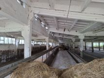 Działka rolna Lubin Bielica. Zdjęcie 2