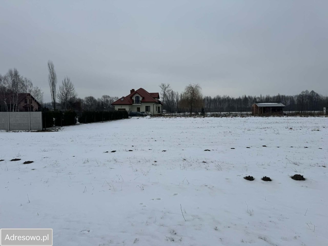 Działka rolno-budowlana Aleksandria. Zdjęcie 6