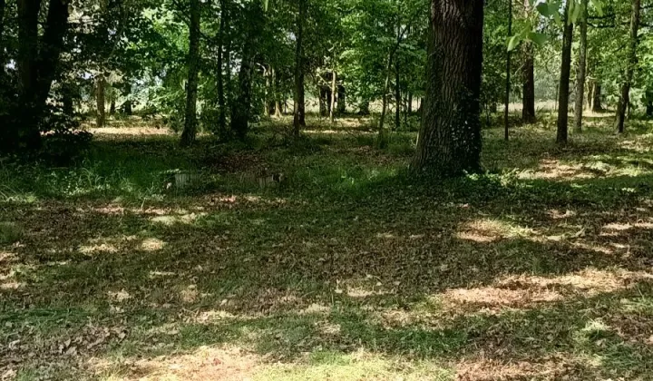 Działka Rudno