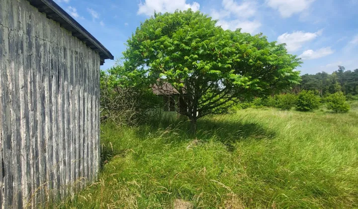 Działka inwestycyjna Lubów