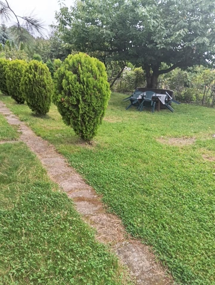 Działka rod Wieluń, ul. Polskiej Organizacji Wojskowej. Zdjęcie 4