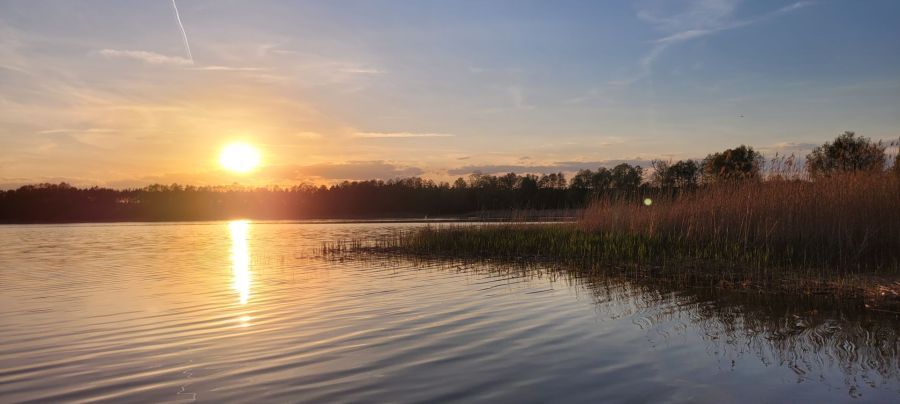 Działka rekreacyjna Huta Dolna, ul. Żurawi Trakt. Zdjęcie 2