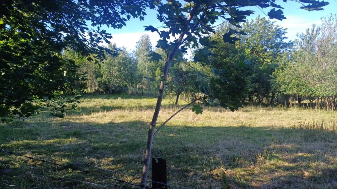 Działka siedliskowa Tynwałd. Zdjęcie 2