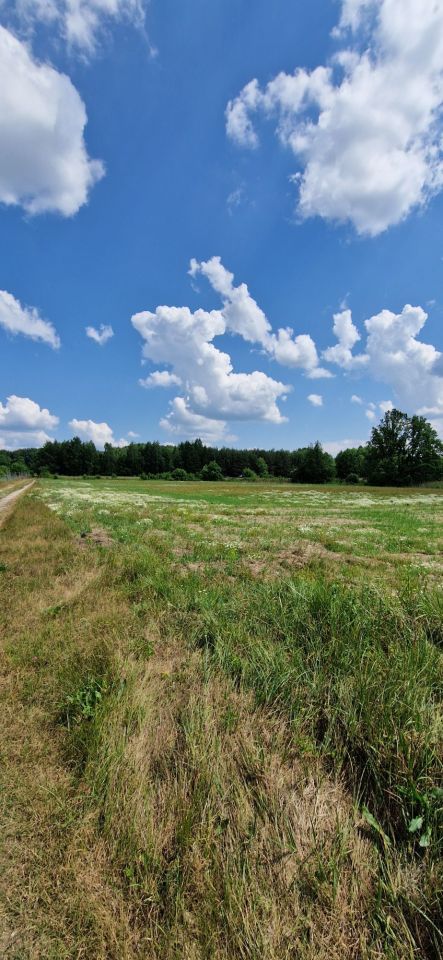Działka siedliskowa Bukowinka. Zdjęcie 5