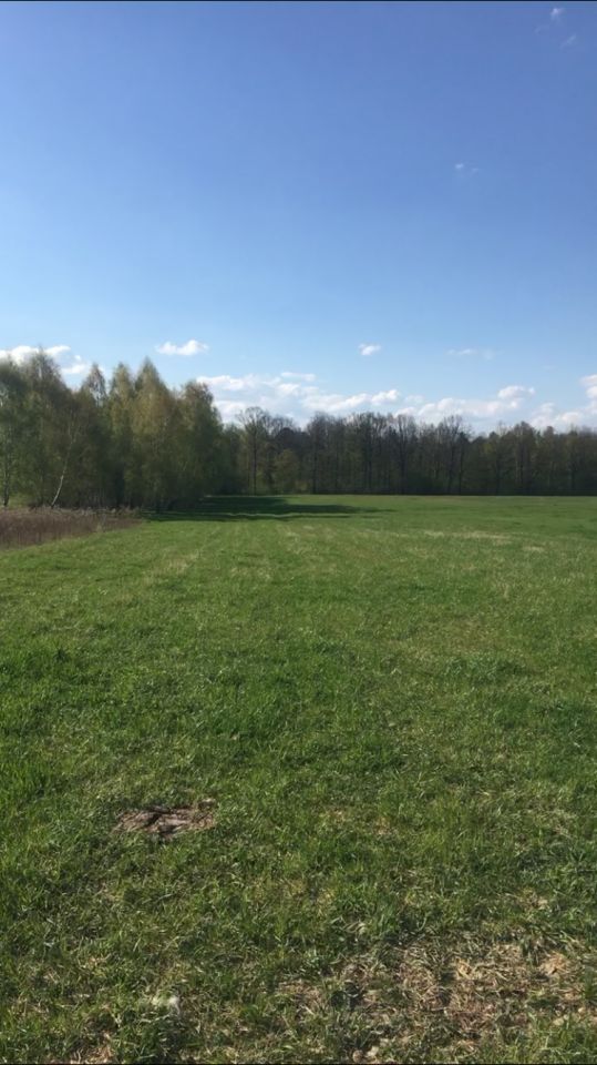 Działka rolna Chęciny. Zdjęcie 2