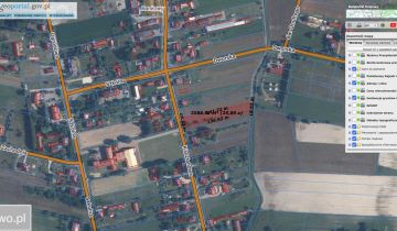 Działka budowlana Drelów, ul. Kasztanowa