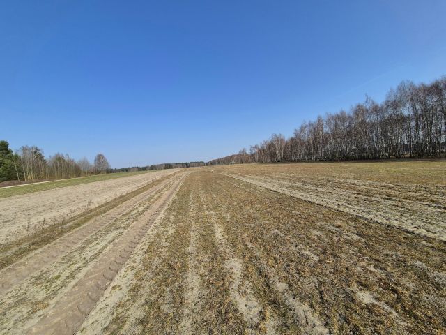 Działka budowlana Cekanów. Zdjęcie 1