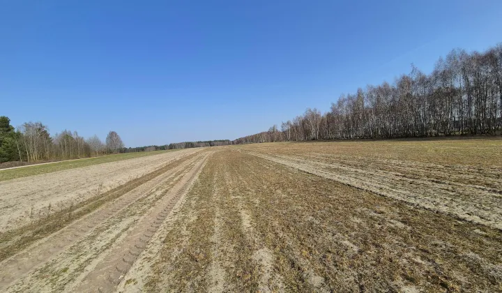 Działka budowlana Cekanów