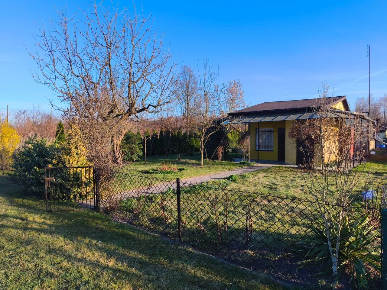 Działka rod Gorczyn. Zdjęcie 6