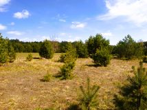 Działka rekreacyjna Lipy. Zdjęcie 3