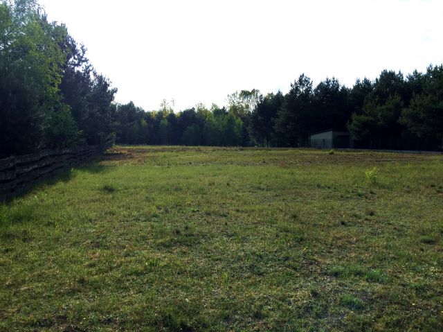 Działka budowlana Prusicko. Zdjęcie 1