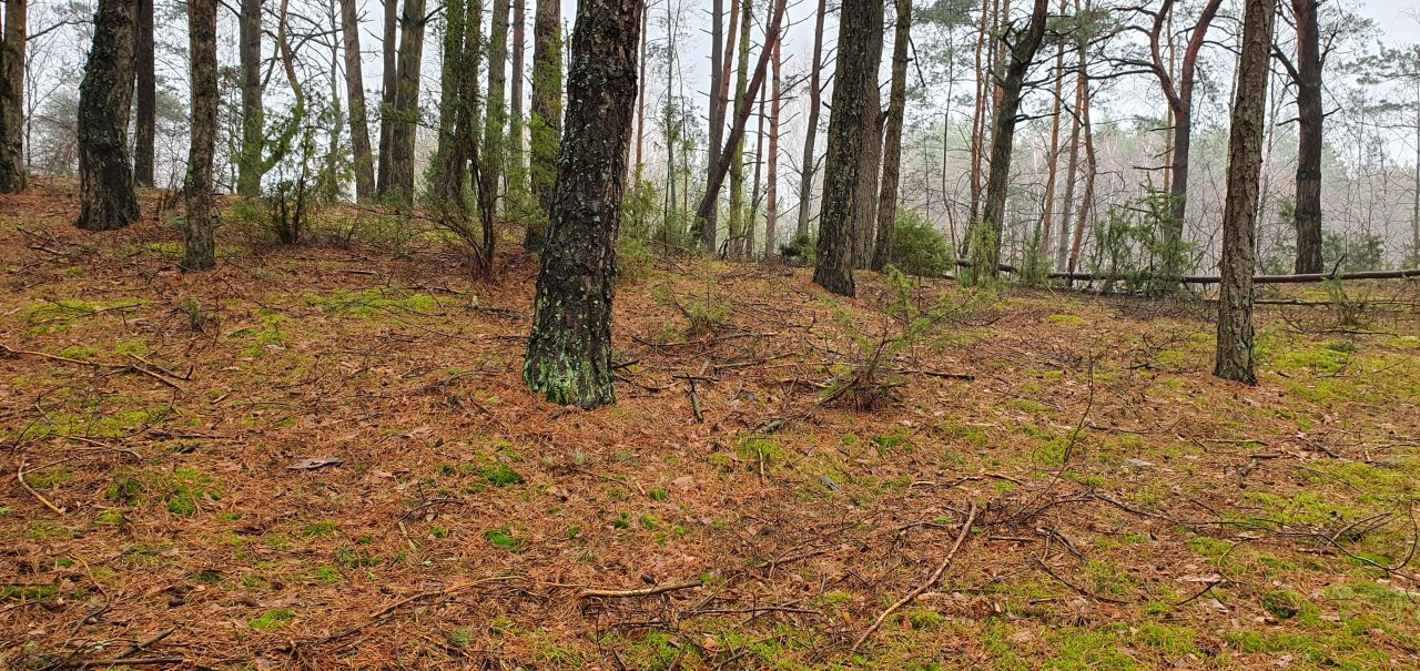 Działka rekreacyjna Nowe Łachy. Zdjęcie 10