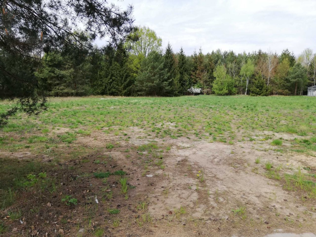 Działka budowlana Sękowo. Zdjęcie 5