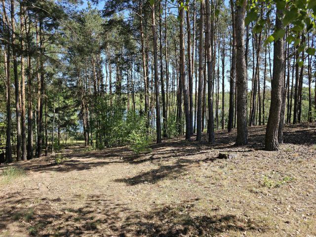 Działka inwestycyjna Macikowo. Zdjęcie 7