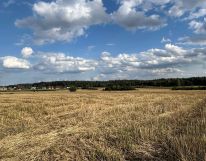 Działka budowlana Ostrzeszów-Pustkowie, ul. Grafitowa. Zdjęcie 2