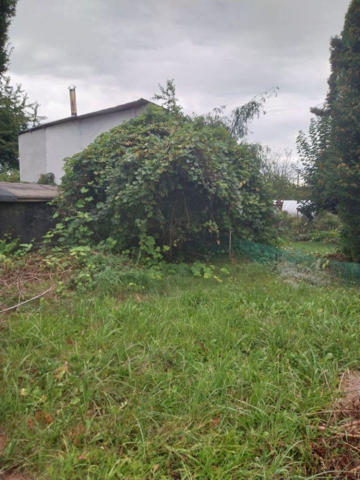 Działka rod Zabrze, ul. Ogrodowa. Zdjęcie 2