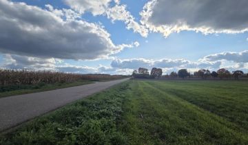 Działka rekreacyjna Nowe Miasto-Folwark