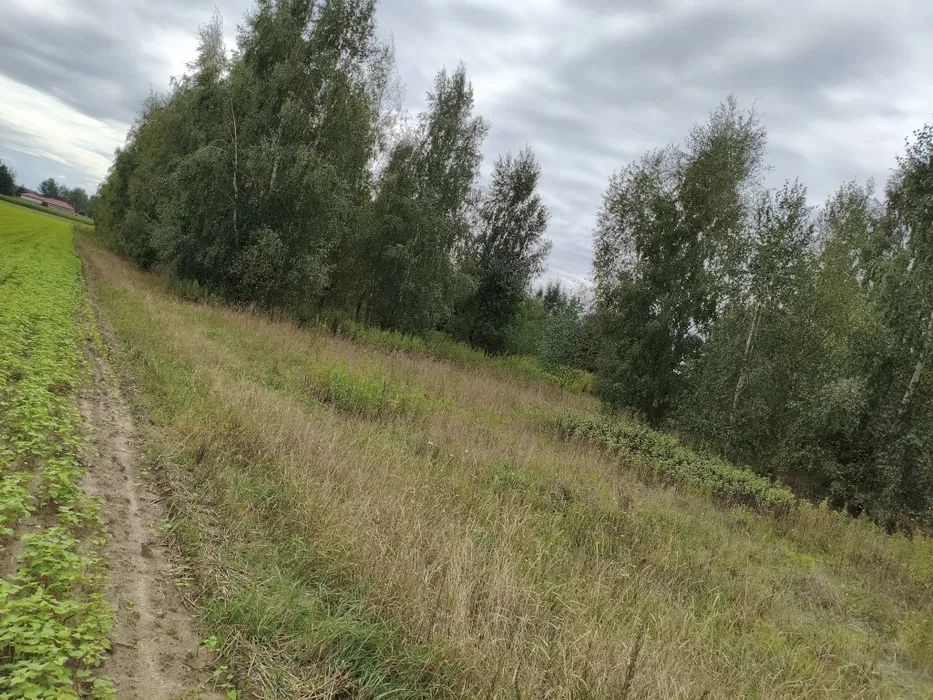 Działka siedliskowa Cempkowo. Zdjęcie 2