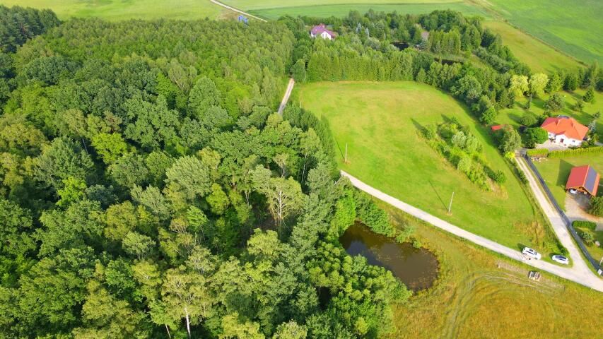 Działka rolno-budowlana Rychnowy. Zdjęcie 8