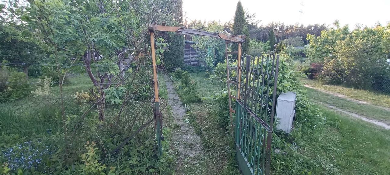 Działka rod Olsztyn. Zdjęcie 6