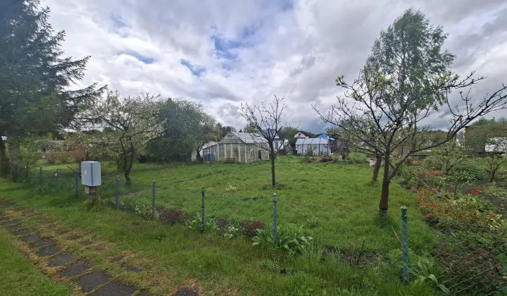 Działka rod Rumia Lotnisko, ul. Kazimierska