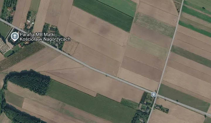 Działka leśna Milejowice
