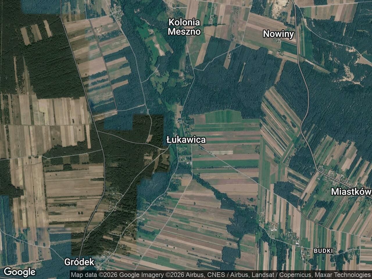 Działka leśna Łukawica. Zdjęcie 1