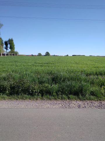 Działka budowlana Wiercany Brzeźnik Północny. Zdjęcie 1