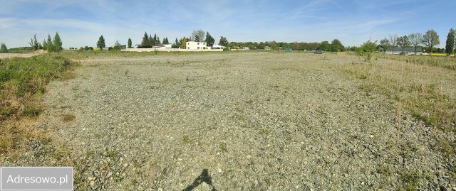 Działka inwestycyjna Mirosławice. Zdjęcie 1