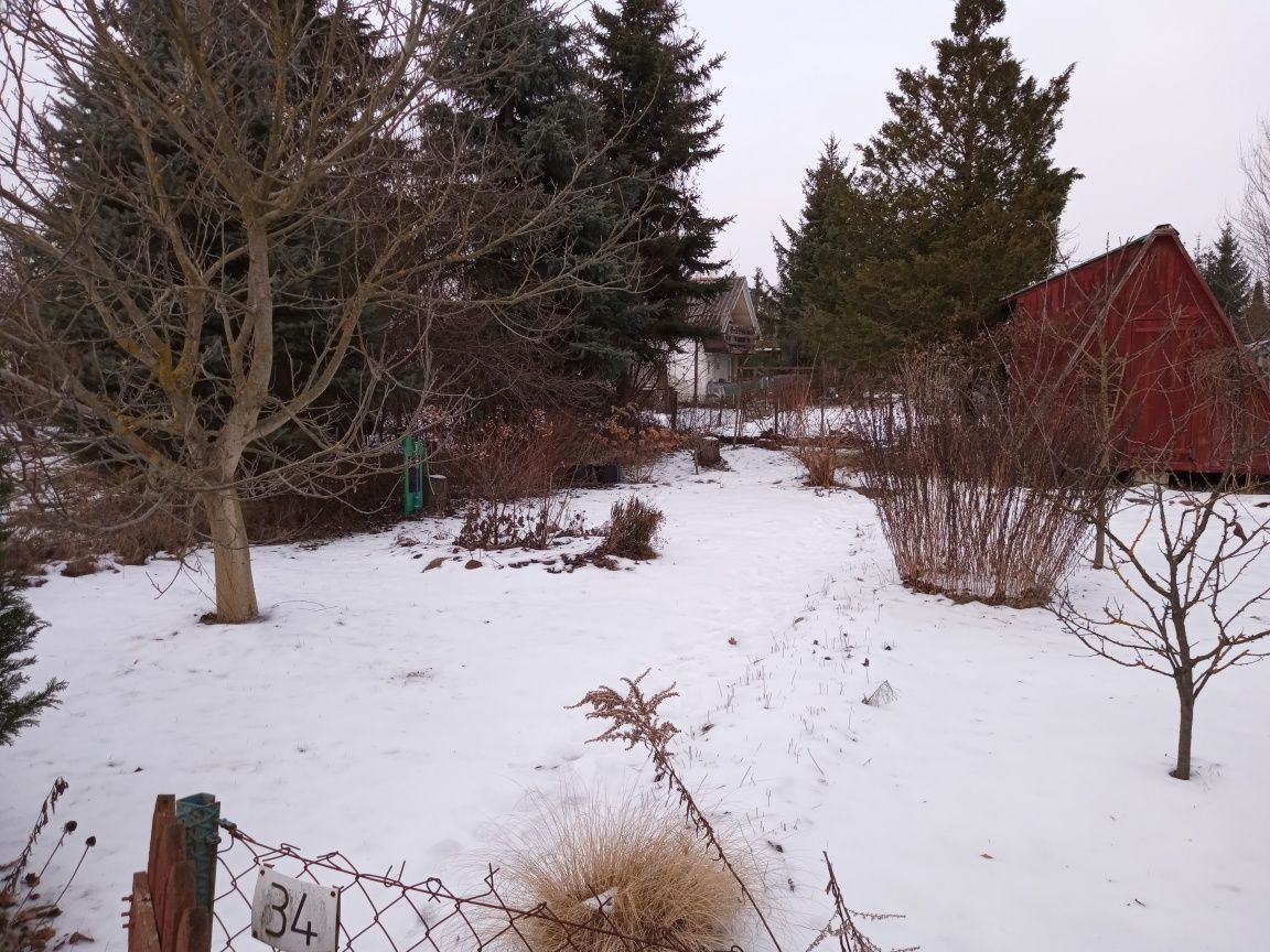 Działka rod Toruń Rudak. Zdjęcie 2