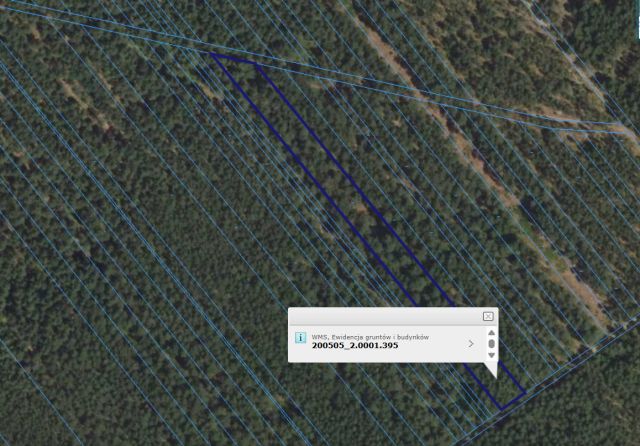 Działka leśna Czechy Orlańskie. Zdjęcie 1